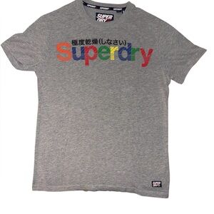 Superdry Gray Multicolor Logo T-Shirt